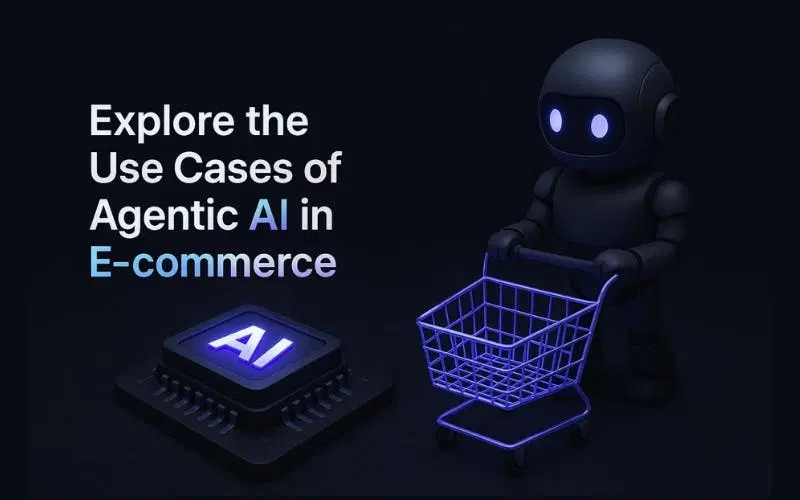 Explore the Use Cases of Agentic AI in E-commerce